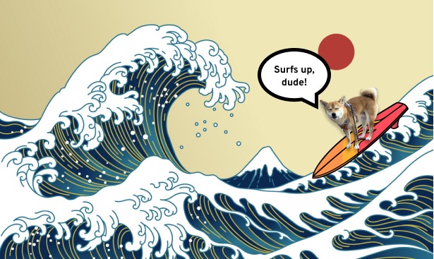 Neko surfing